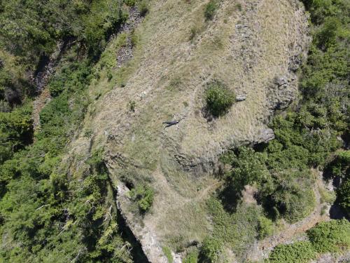 Château de Buron [28-06-2022](0991).jpg